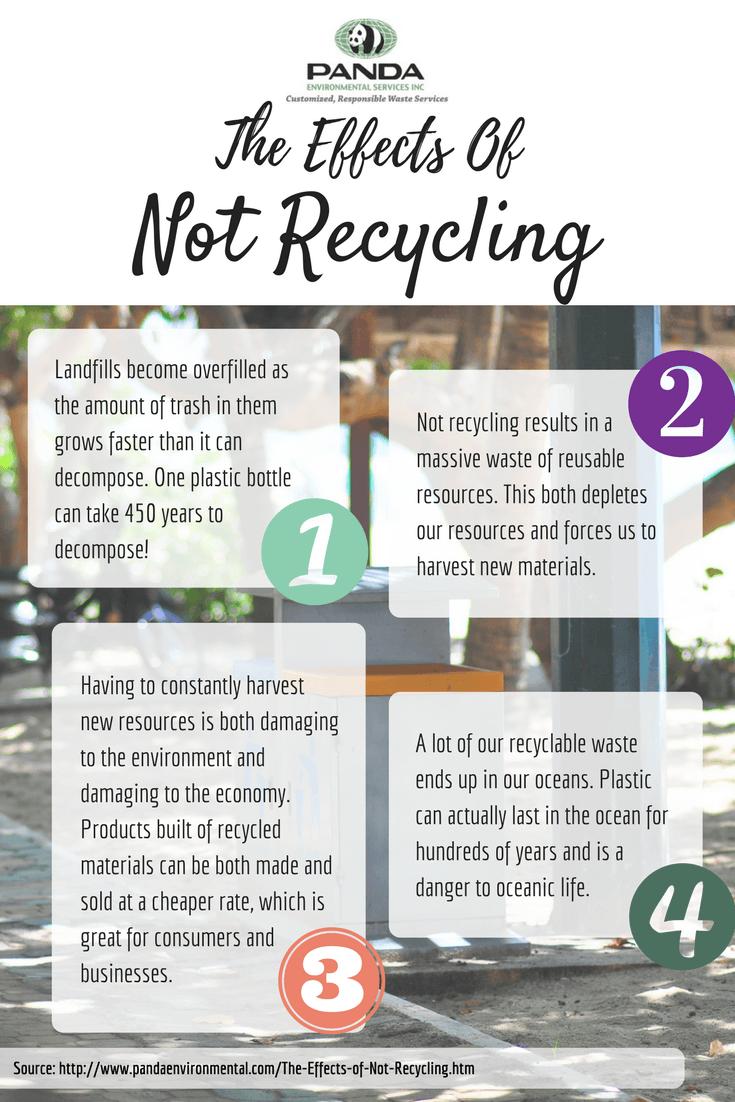 Brief History of Recycling in Kitchener Panda Environmental Services